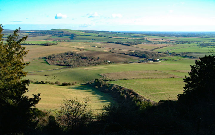 The view from Trundle Hill