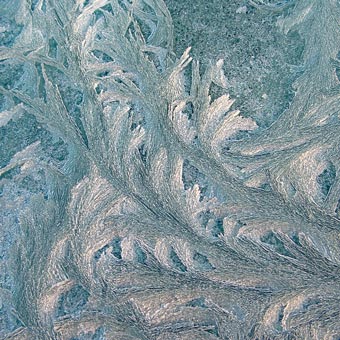 Frost made wonderful patterns on the car roof