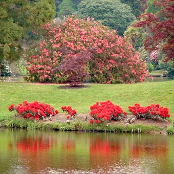 The gardens are wonderful