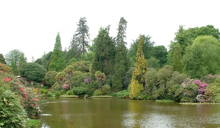 Beautiful lake