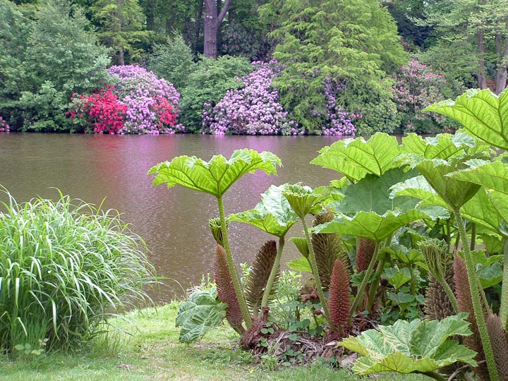 Some strange plants!