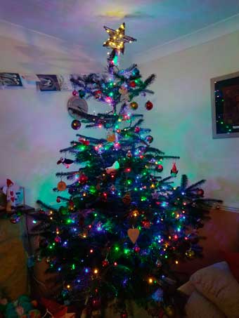 The decorated Christmas tree