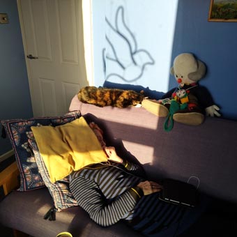 Liz is zonked out after Christmas!