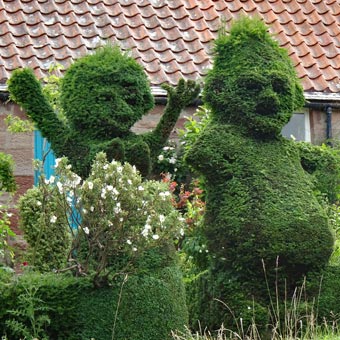 Novel hedges