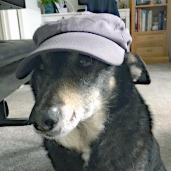 John left his hat at Ali's, but Jenks enjoyed wearing it!