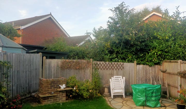 Next door's garden - without the tree! We had the men cut the branches up into 10 inch section for burning on our wood burning stove - it was dead and the wood was as dry as a bone
