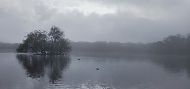 We don't go round The Pond as much as we did during Covid, but it's still an attractive place to visit