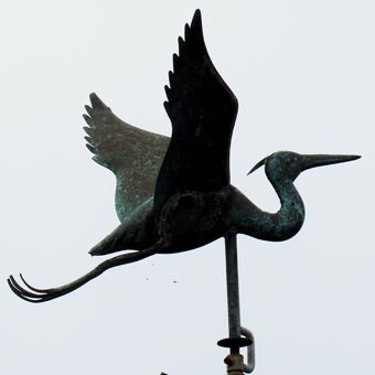 It then flew away!
