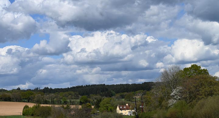 On "Deer Farm South" - one of our favourite walks