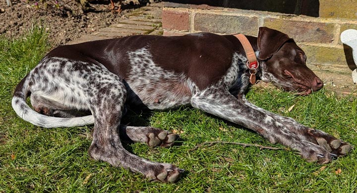 We need to remind ourselves of the quiet moments!